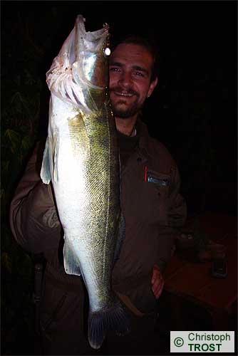 Zur�ck zu Zander 2007