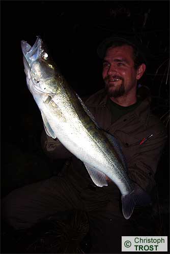 Zur�ck zu Zander 2007