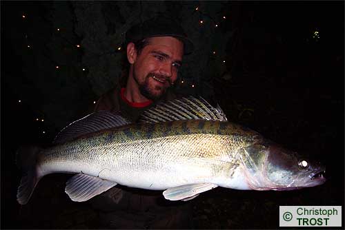 Zur�ck zu Zander 2007