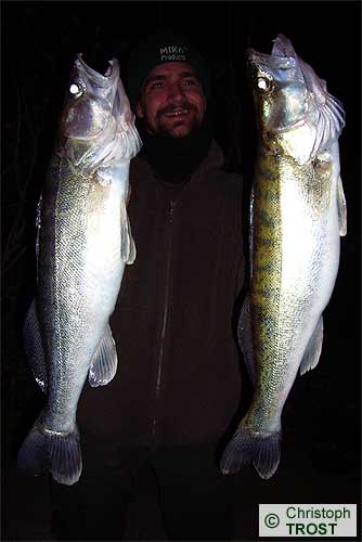 Zur�ck zu Zander 2007