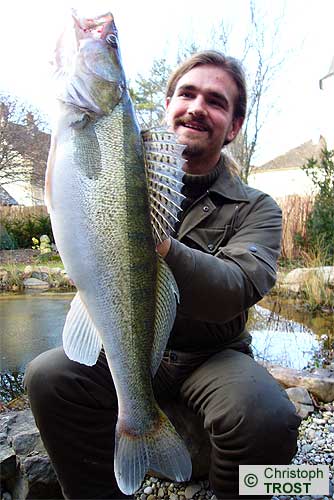 Zur�ck zu Zander 2008