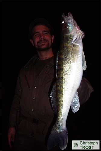 Zur�ck zu Zander 2008