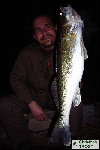 Zur�ck zu Zander 2008