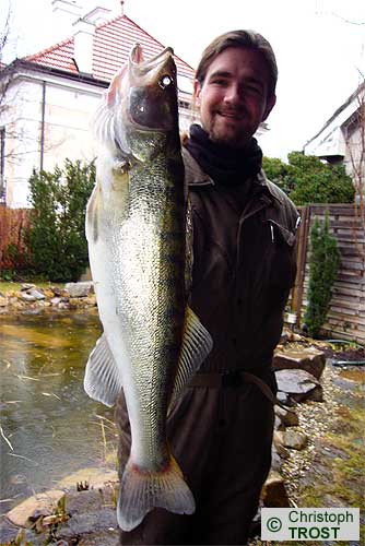 Zur�ck zu Zander 2008