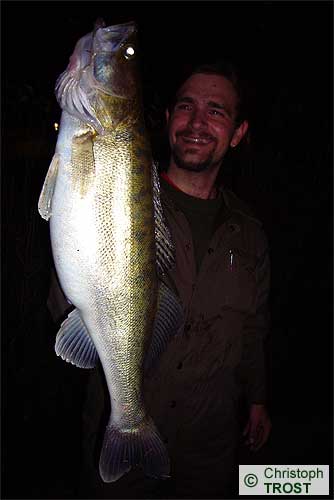 Zur�ck zu Zander 2008