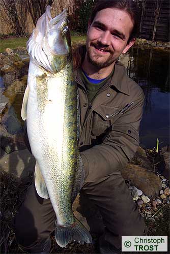 Zur�ck zu Zander 2008