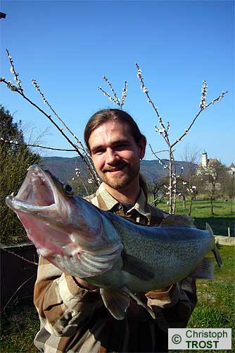 Zur�ck zu Zander 2008