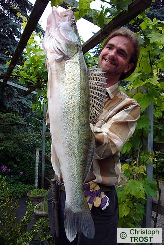 Zur�ck zu Zander 2008