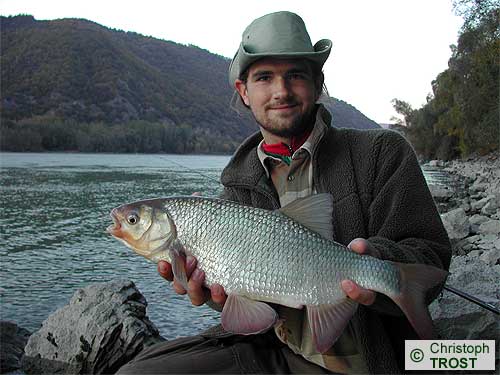 Zur�ck zu (Frauen)Nerfling