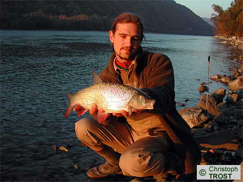 Zur�ck zu (Frauen)Nerfling