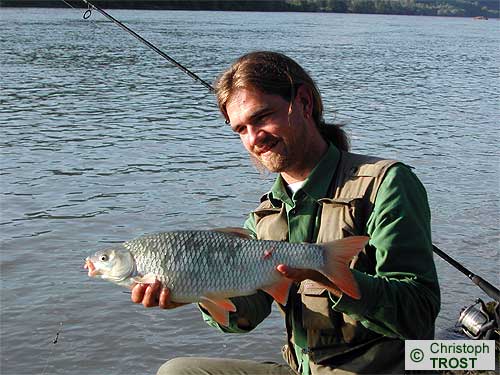 Zur�ck zu (Frauen)Nerfling