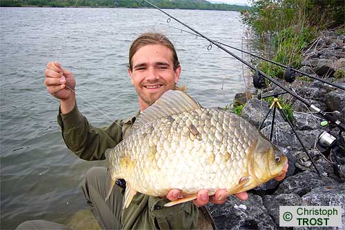 Zur�ck zu Schleie und Giebel
